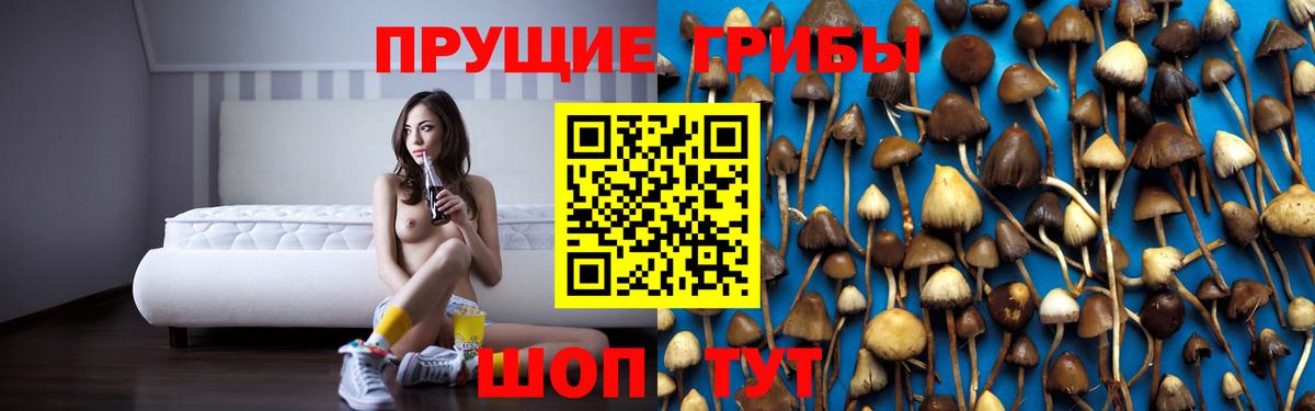 Белгород  Псилоцибиновые грибы Psilocybe  Вход с VPN 